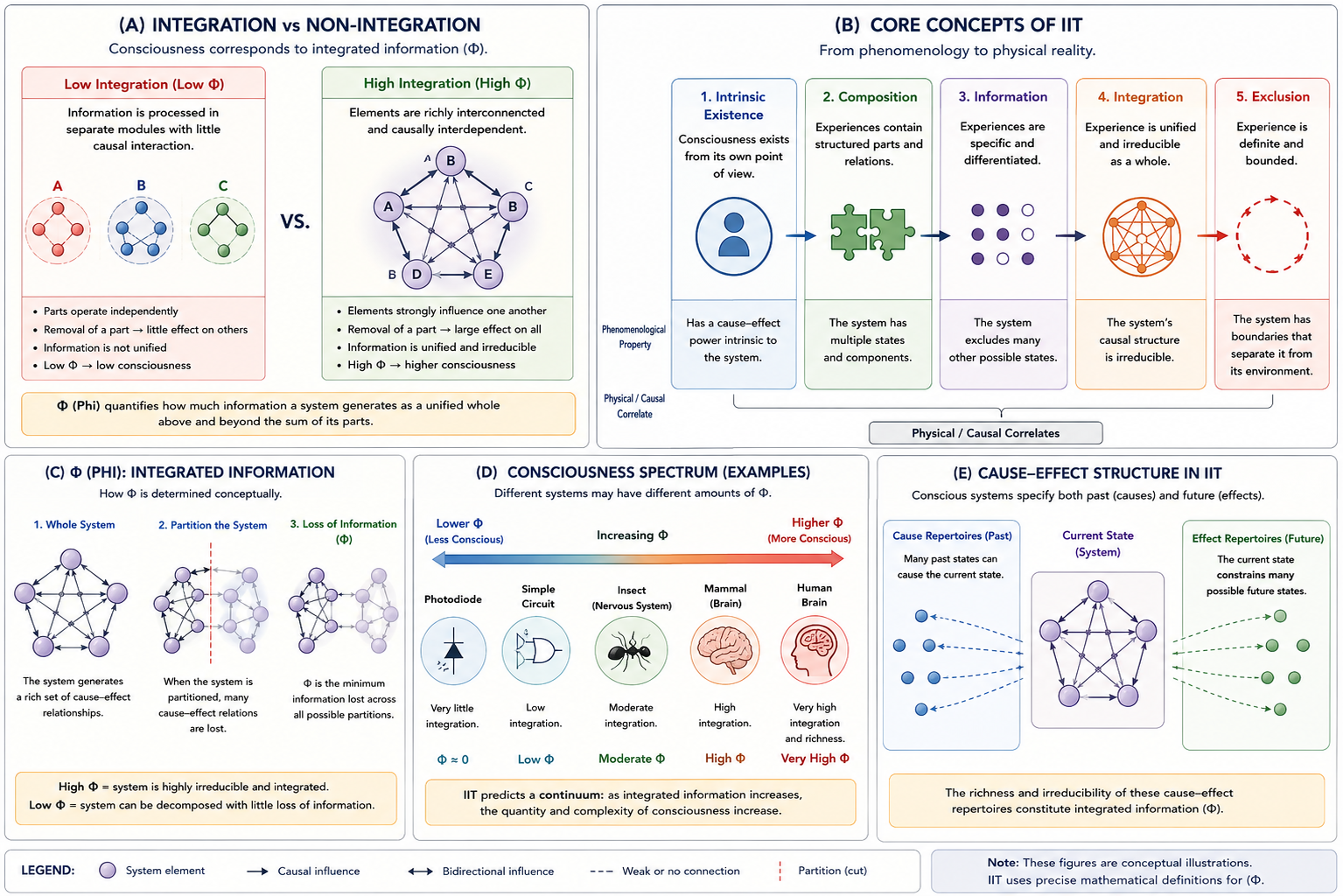 Integrated Information Theory (IIT). Panel A compares low and high integration. Panel B summarizes IIT’s phenomenological axioms. Panel C illustrates the conceptual meaning of Φ (Phi). Panel D presents a simplified consciousness spectrum across systems. Panel E illustrates intrinsic cause-effect structure and irreducible causal organization.