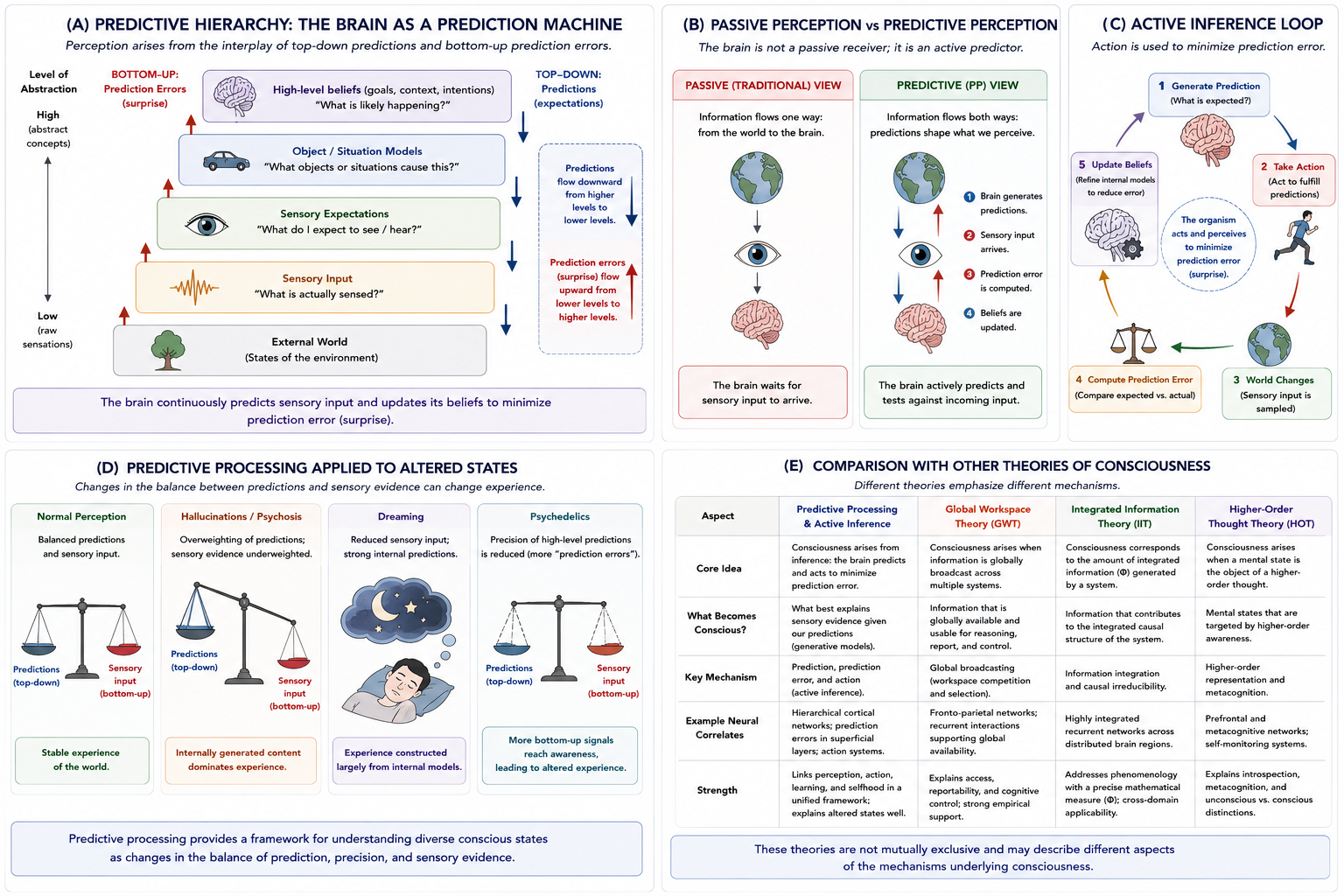 Predictive Processing and Active Inference. Panel A illustrates hierarchical predictive processing and prediction-error minimization. Panel B contrasts passive perception with predictive perception. Panel C illustrates the active inference loop. Panel D applies predictive processing to hallucinations and altered states. Panel E compares predictive processing with other major theories of consciousness.