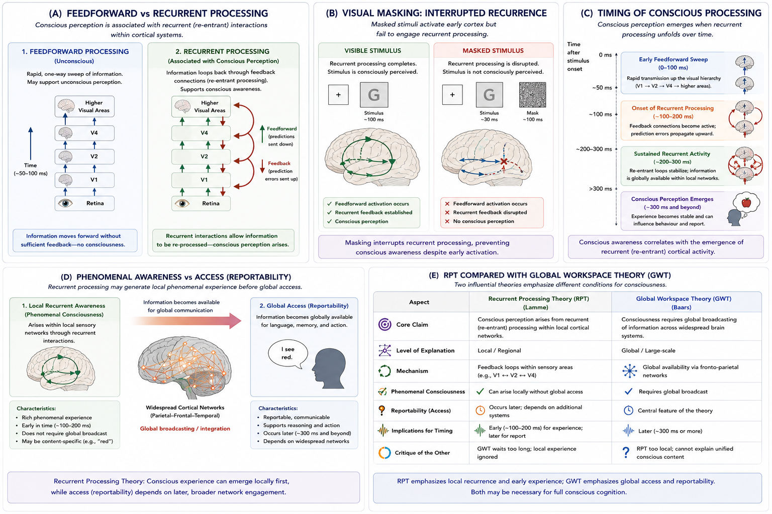 Recurrent Processing Theory (RPT). Panel A contrasts feedforward and recurrent processing. Panel B illustrates visual masking and interrupted recurrence. Panel C shows the temporal unfolding of conscious processing. Panel D distinguishes phenomenal consciousness from access consciousness. Panel E compares recurrent processing theory with Global Workspace Theory.