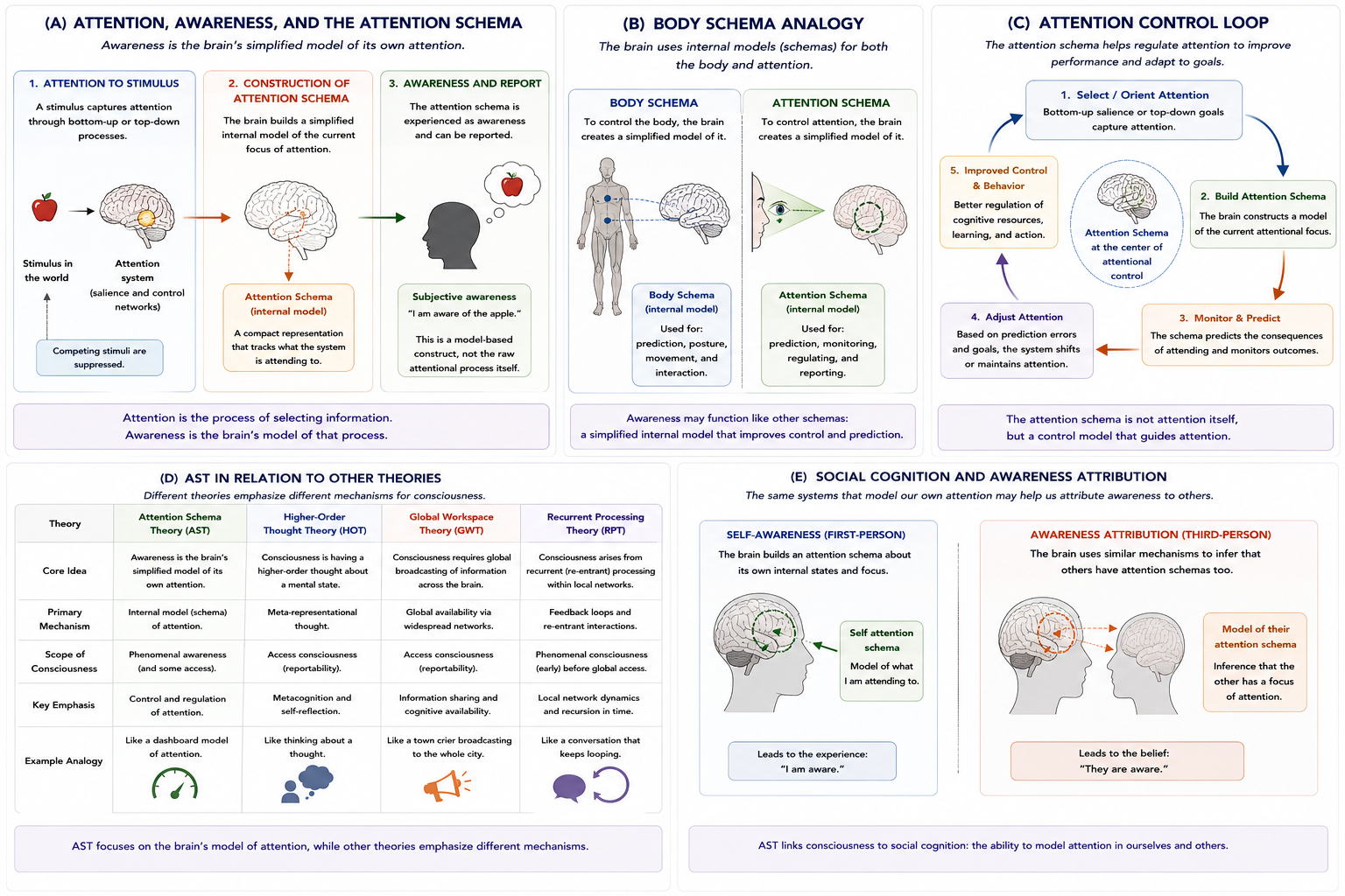 Attention Schema Theory (AST). Panel A distinguishes attention, awareness, and the attention schema. Panel B illustrates the body-schema analogy. Panel C shows the attentional control loop. Panel D compares AST with related theories of consciousness. Panel E illustrates the relationship between awareness and social cognition.