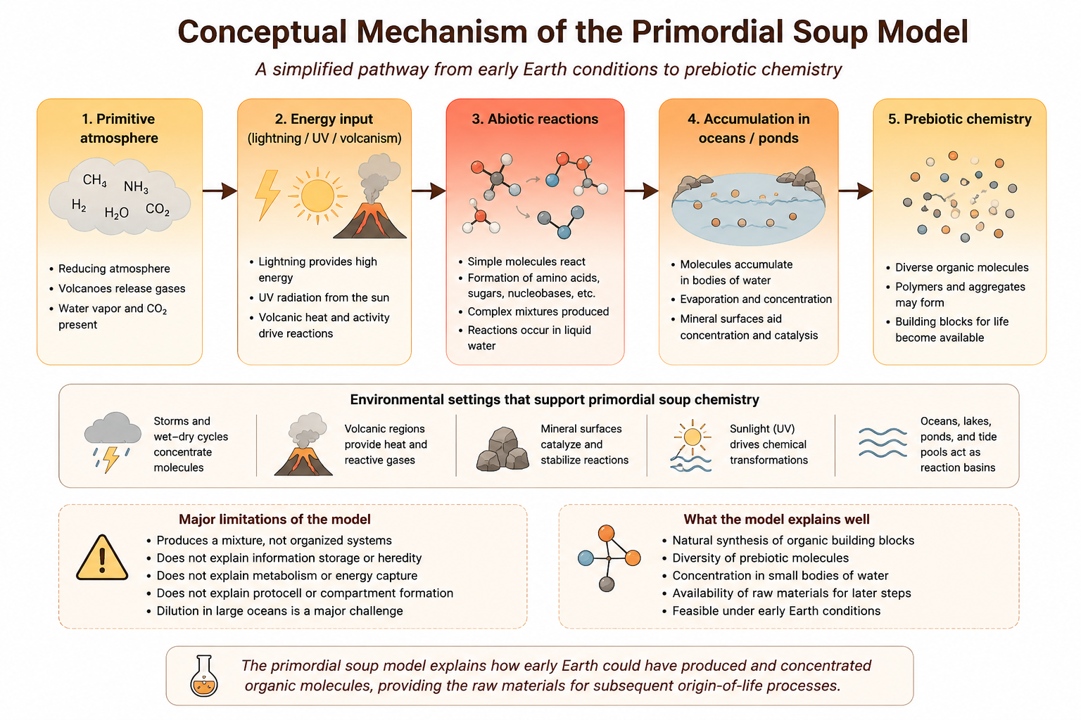 Conceptual mechanism of the primordial soup model.