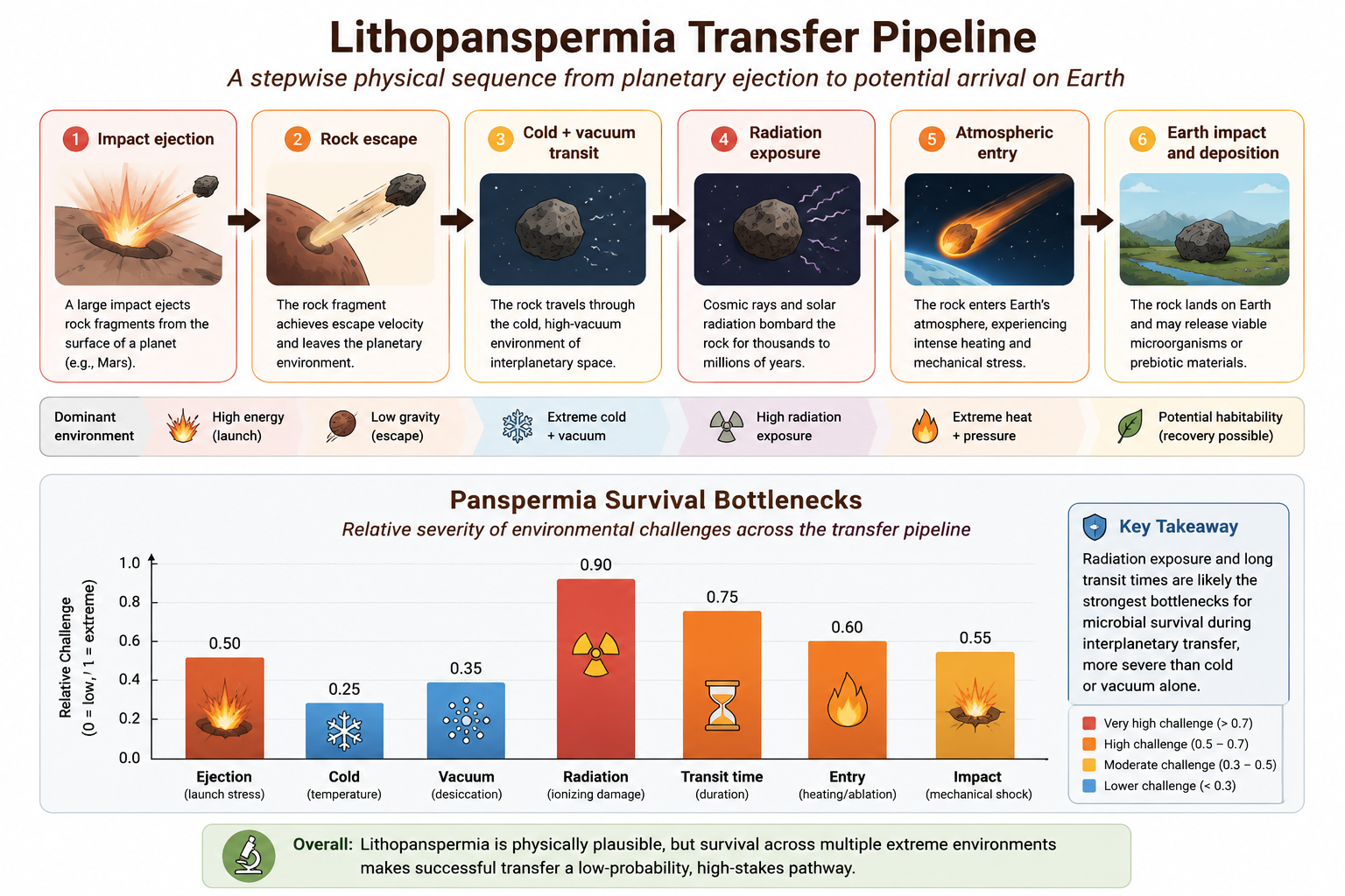 Integrated conceptual model of lithopanspermia showing the transfer sequence from planetary ejection to Earth arrival, along with the major environmental bottlenecks affecting microbial survival.